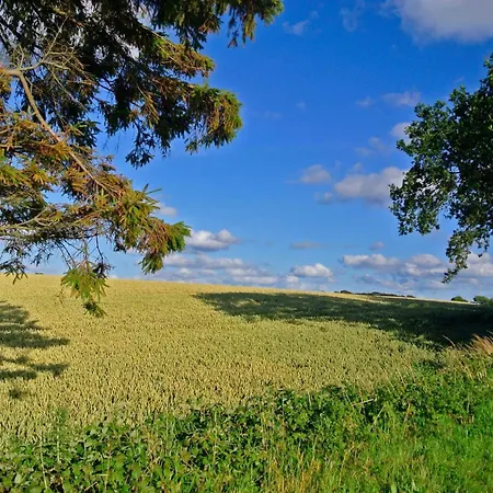 度假居 Luxury Retreat In Hejlsminde - By Traum *