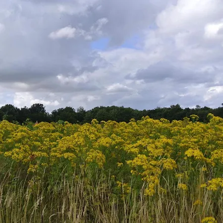Casa de Férias Luxury Retreat In Hejlsminde - By Traum Hejls