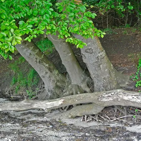 Luxury Retreat In Hejlsminde - By Traum Hejls